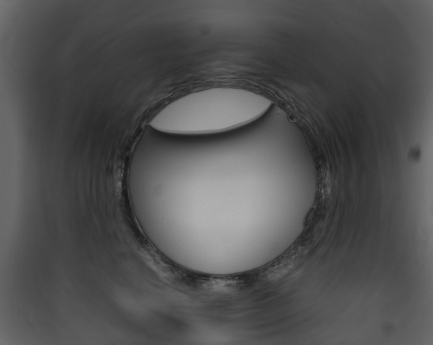 X0000090410664200707130926
