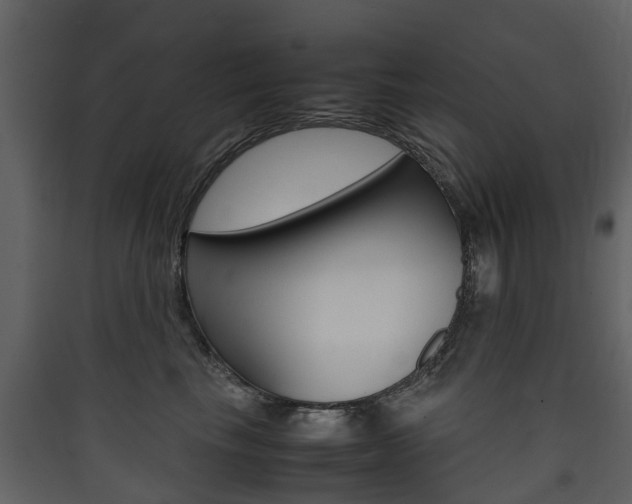X0000090410665200707130926