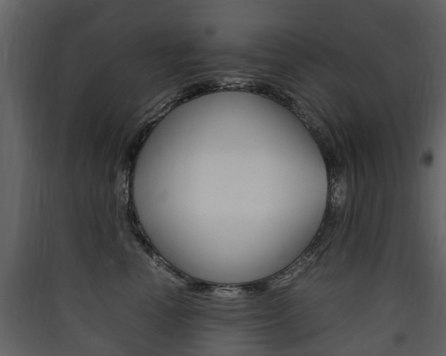 X0000090410666200707130926