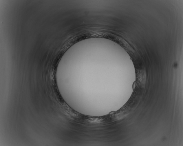 X0000090410667200707130926
