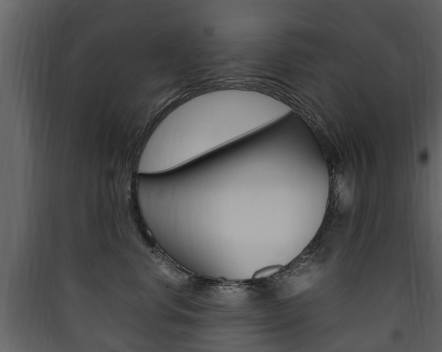 X0000090410668200707130926
