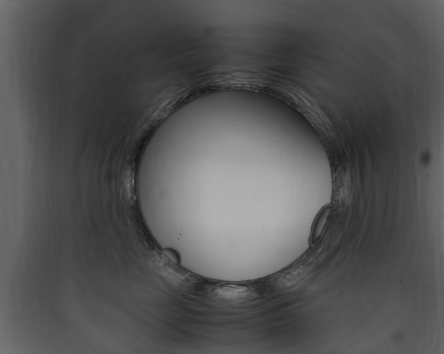 X0000090410669200707130926