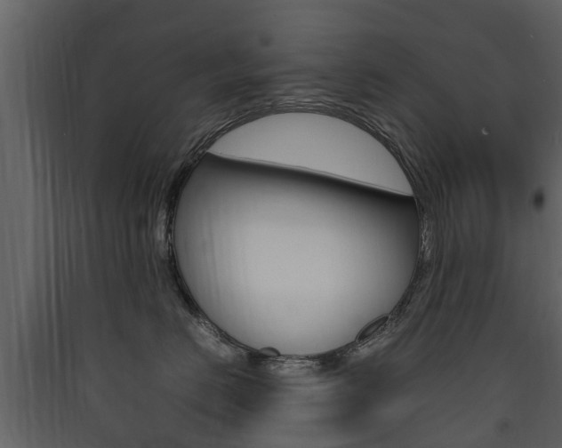 X0000090410670200707130926