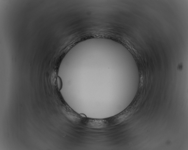 X0000090410671200707130926