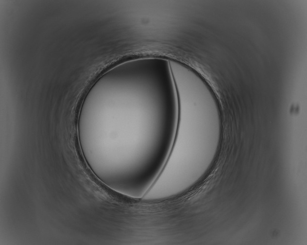 X0000090410673200707130926