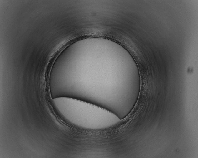 X0000090410674200707130926