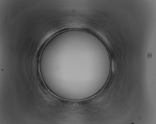 X0000090410675200707130926