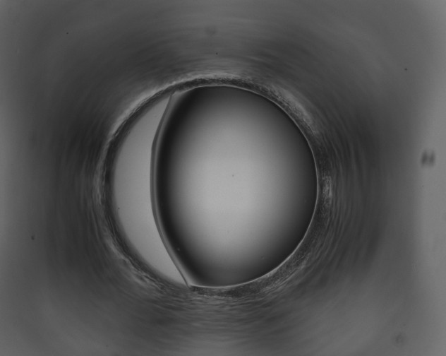 X0000090410676200707130926