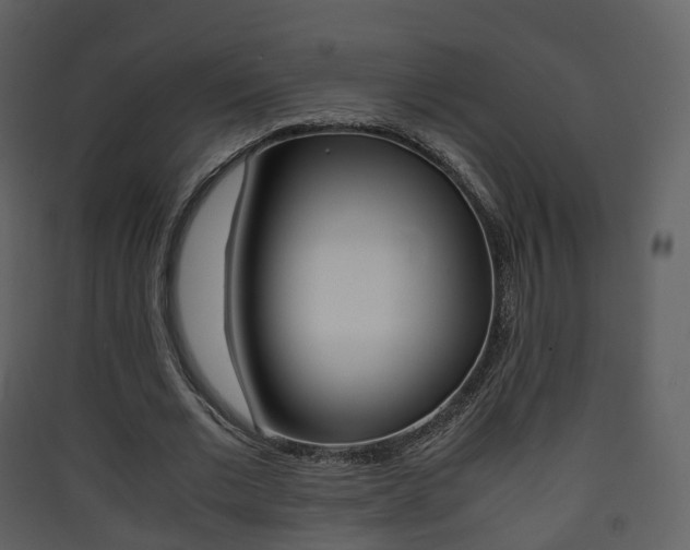 X0000090410677200707130926