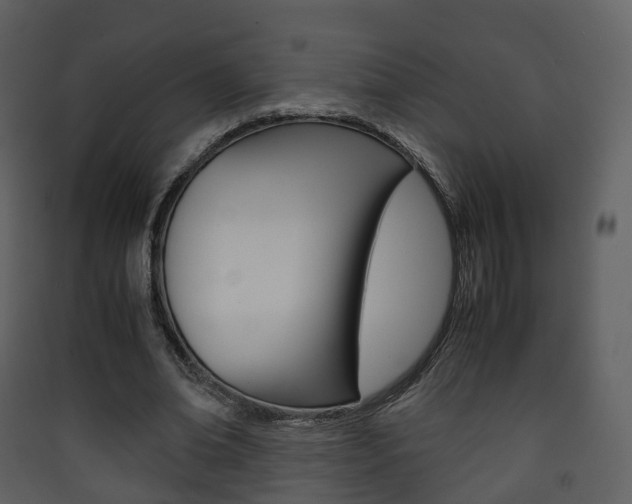 X0000090410678200707130926