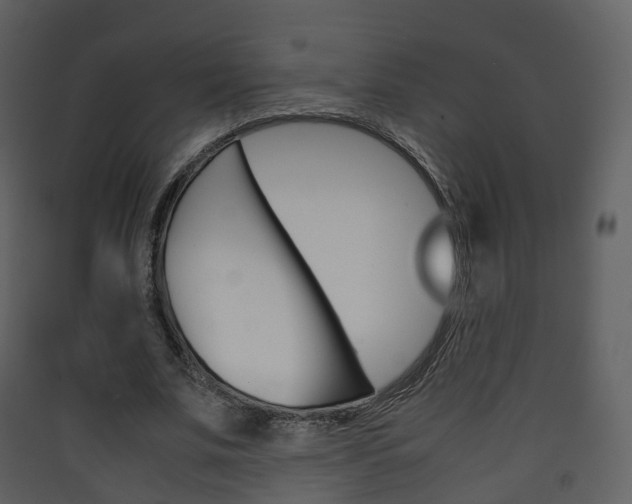 X0000090410679200707130926
