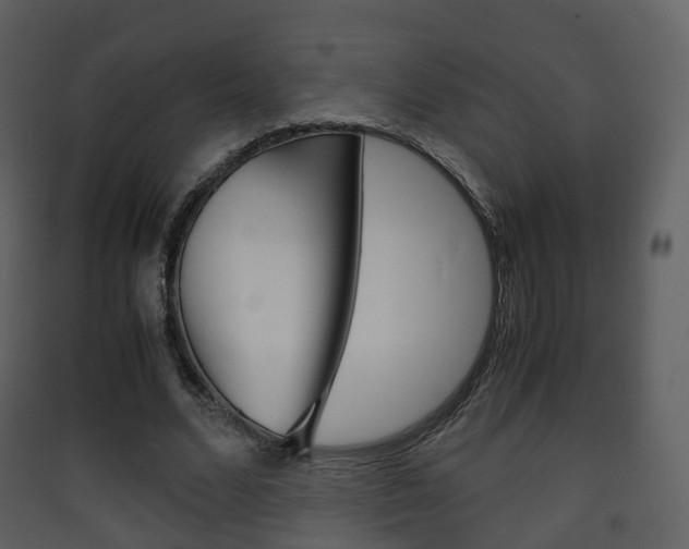 X0000090410680200707130926