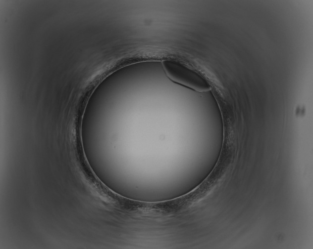 X0000090410681200707130926