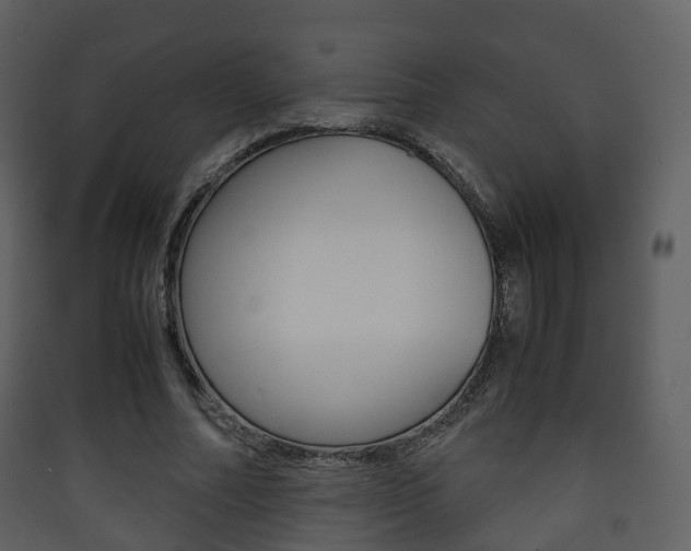 X0000090410682200707130926