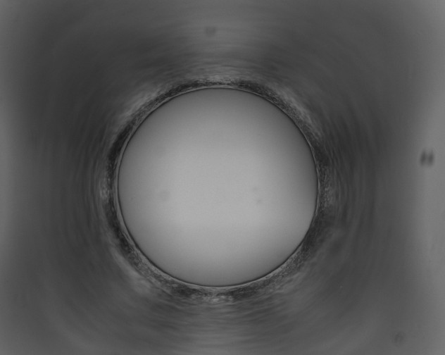X0000090410683200707130926