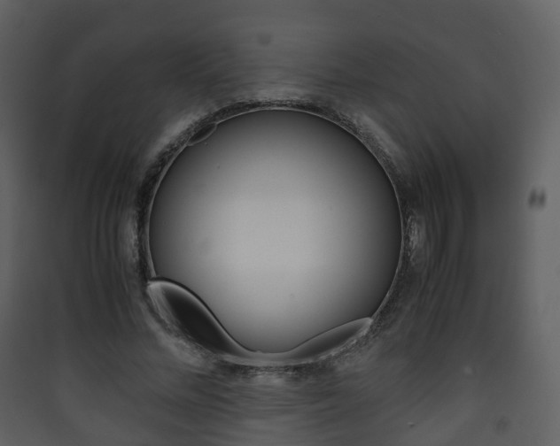 X0000090410684200707130926