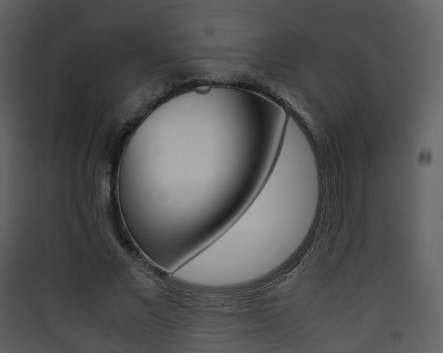 X0000090410685200707130926