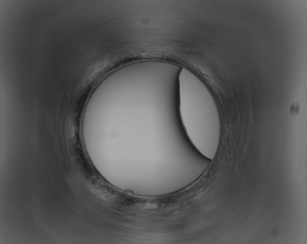 X0000090410687200707130926