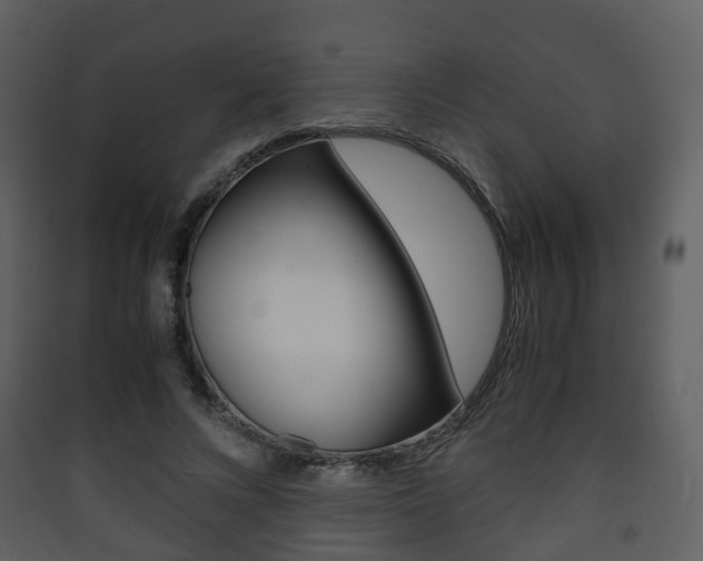 X0000090410688200707130925