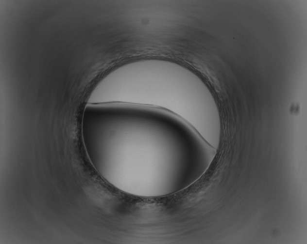 X0000090410689200707130925