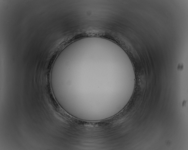 X0000090410690200707130925