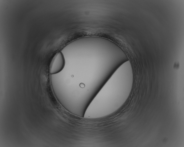 X0000090410691200707130925