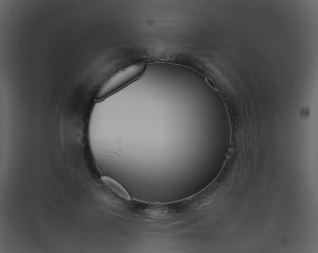 X0000090410693200707130925