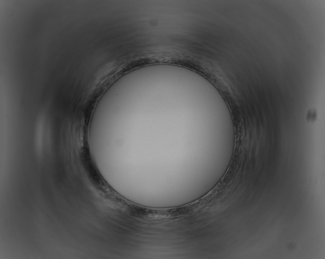 X0000090410694200707130925