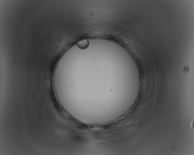 X0000090410695200707130925