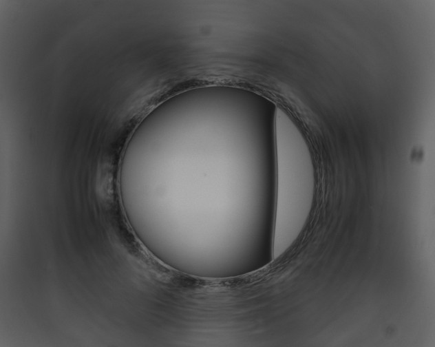 X0000090410696200707130925