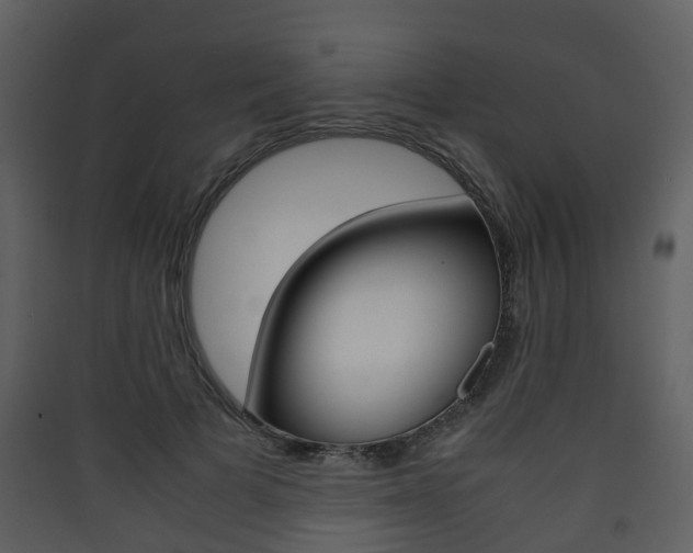 X0000090410697200707130925