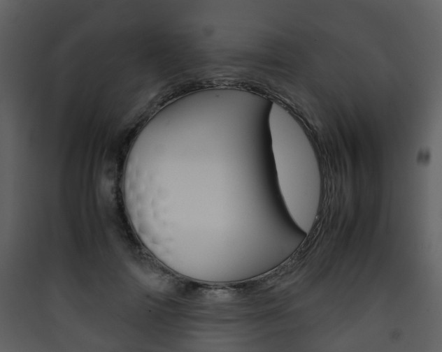 X0000090410698200707130925