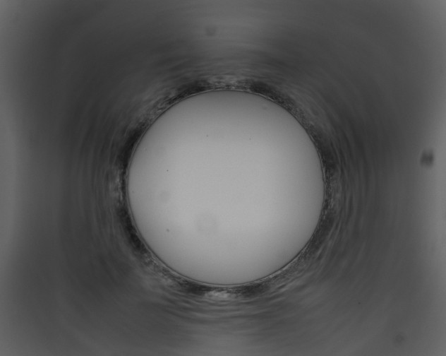 X0000090410699200707130925
