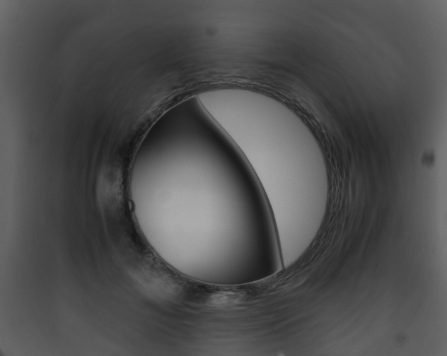 X0000090410700200707130925