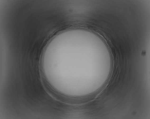 X0000090410701200707130925