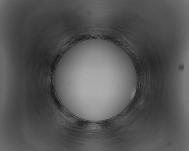 X0000090410702200707130925