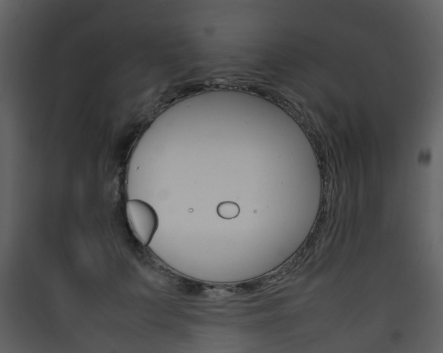 X0000090410703200707130925