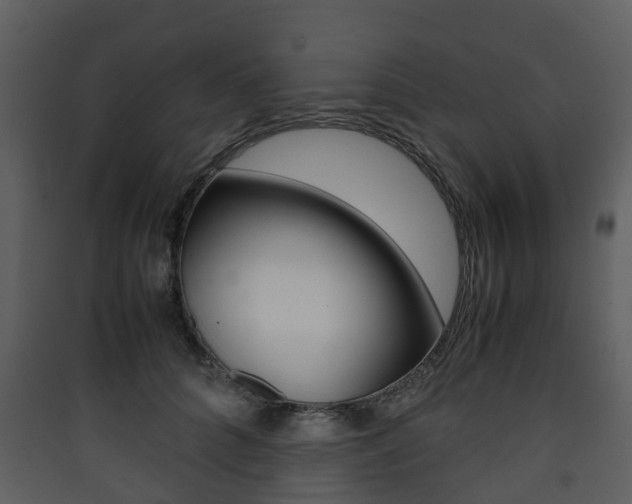 X0000090410704200707130925