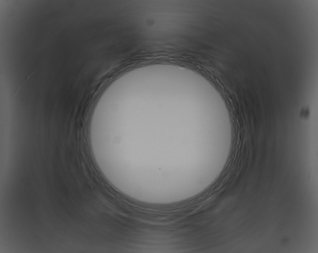 X0000090410705200707130925