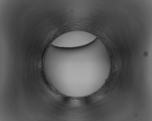 X0000090410706200707130925