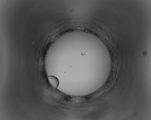 X0000090410707200707130925