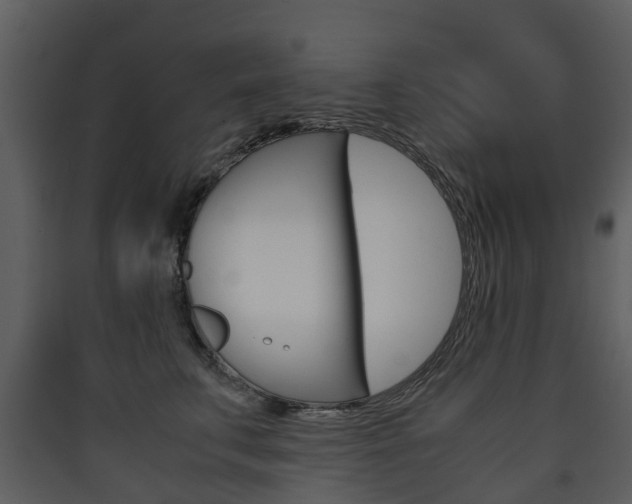 X0000090410711200707130925