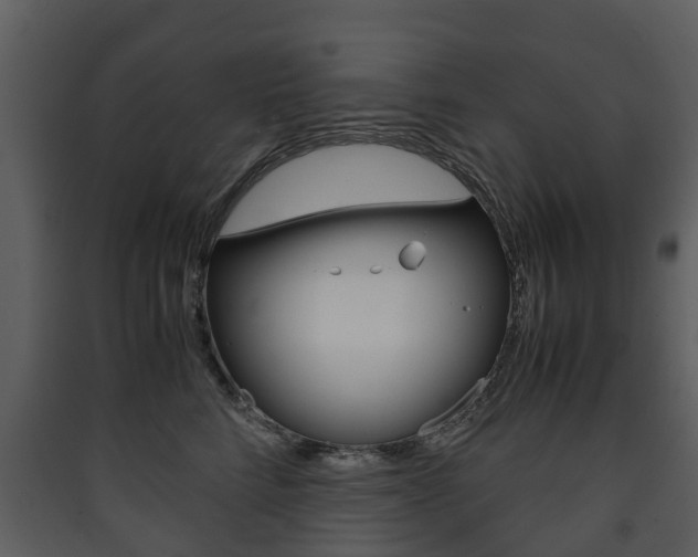 X0000090410712200707130925