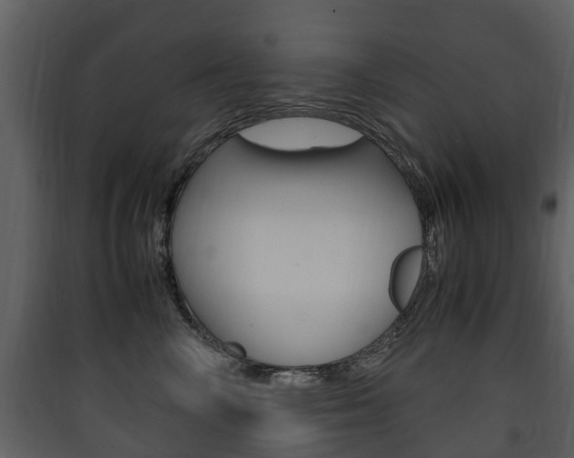 X0000090410714200707130925