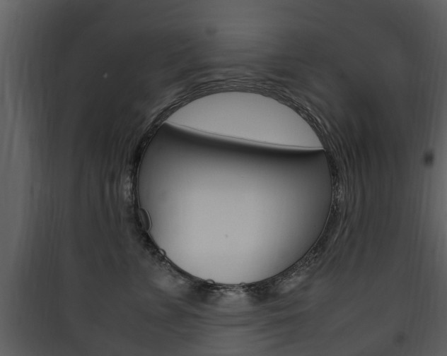X0000090410715200707130925