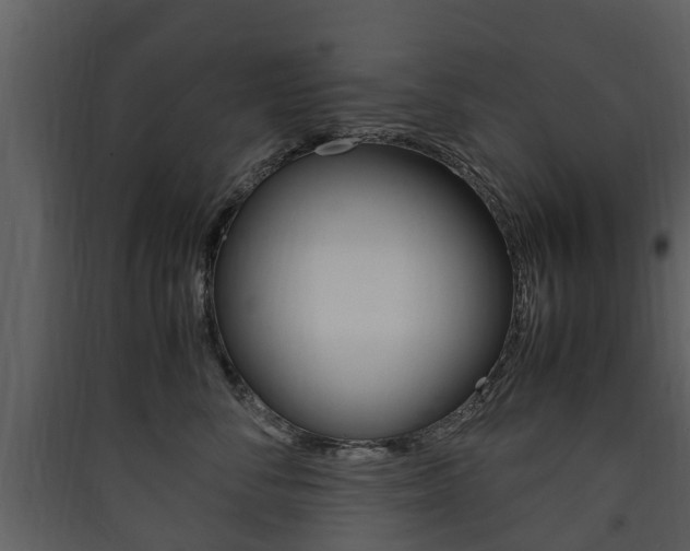 X0000090410716200707130925