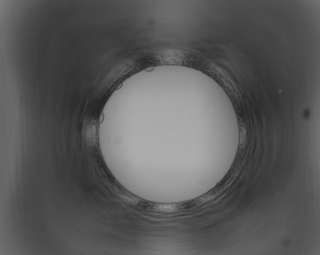 X0000090410717200707130925