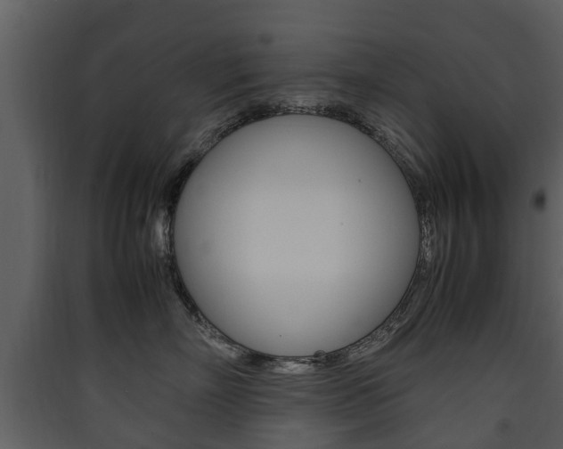 X0000090410718200707130925