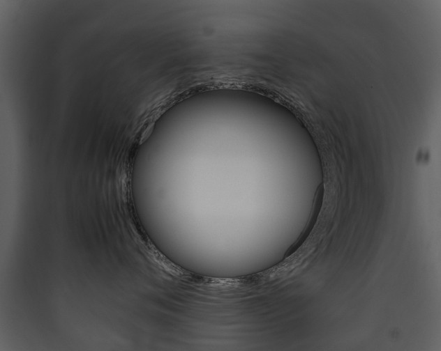 X0000090410720200707130925