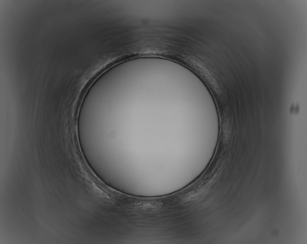 X0000090410721200707130924